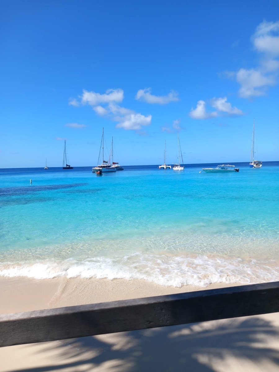 Scopri le meraviglie dei Grenadines in una crociera