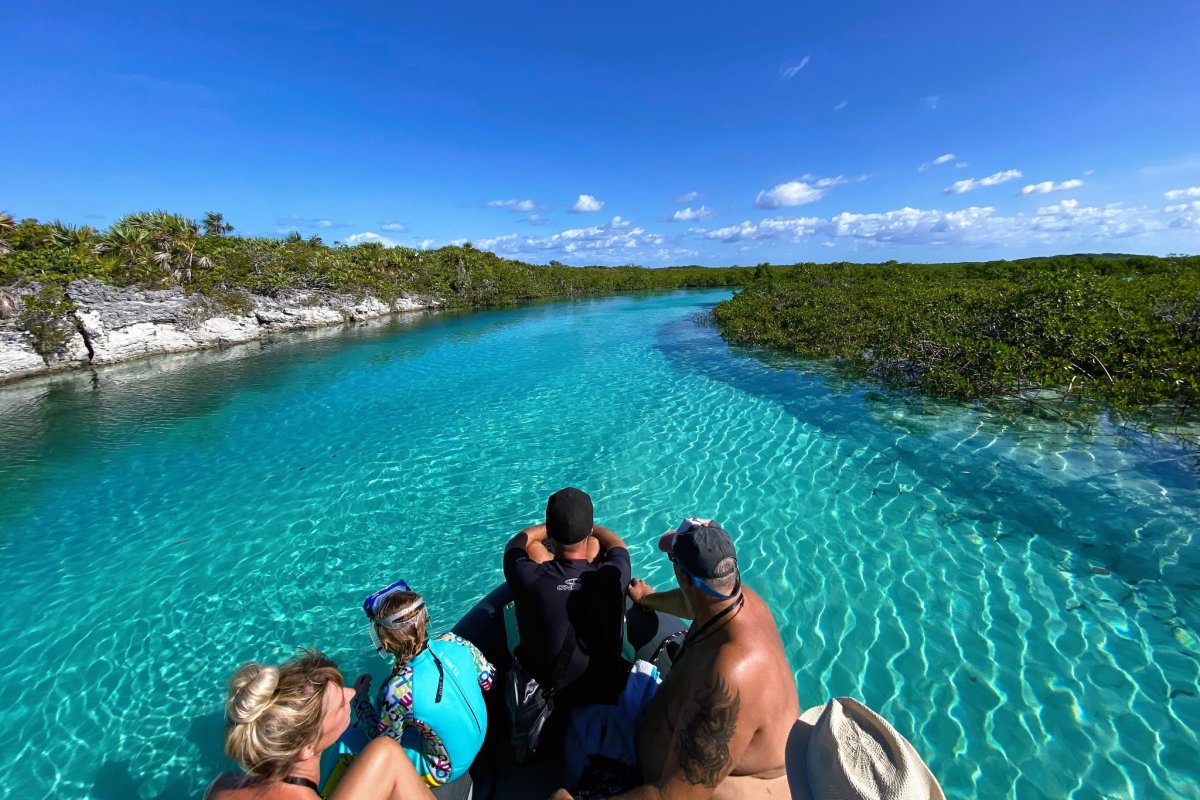 Follow the stars on a Bahamas cruise