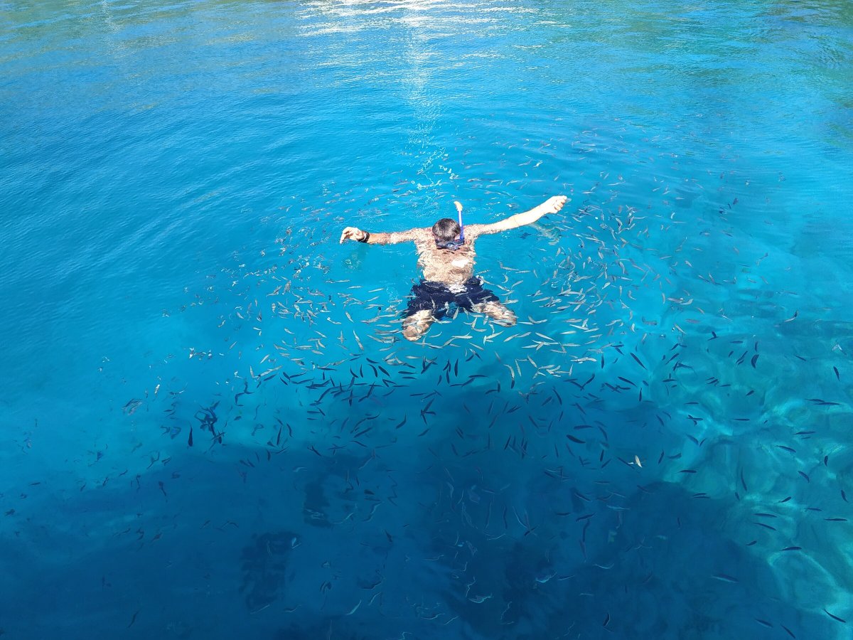 Learn to Sail in Saronic & Cyclades