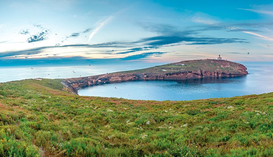 Excursión en barco a las Islas Columbretes