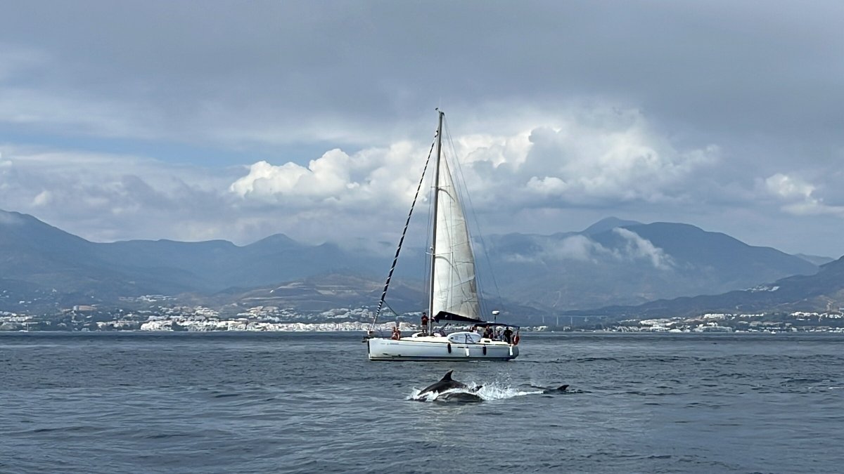 Dufour Yachts - 455 Grand large