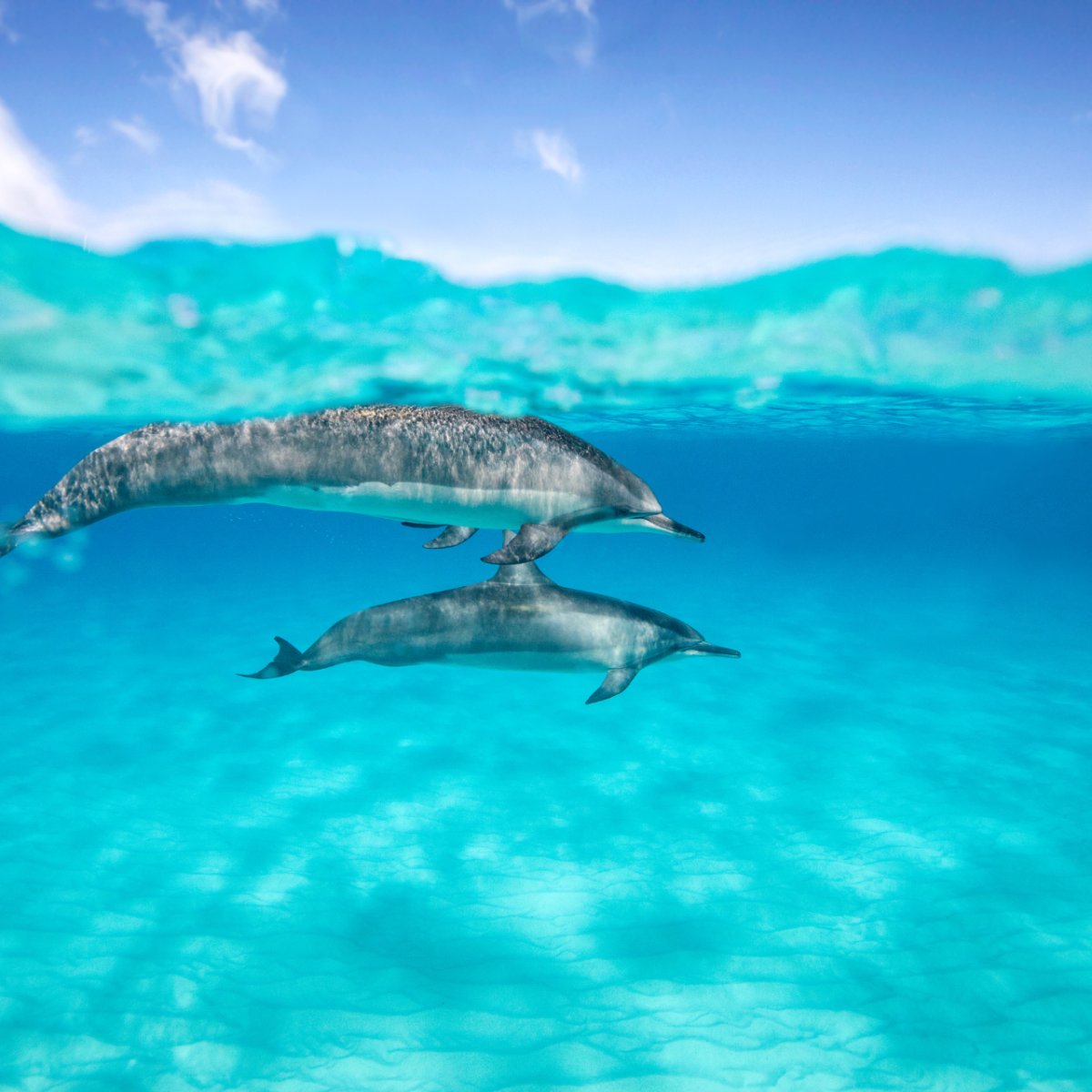 High-sea experience from Olbia