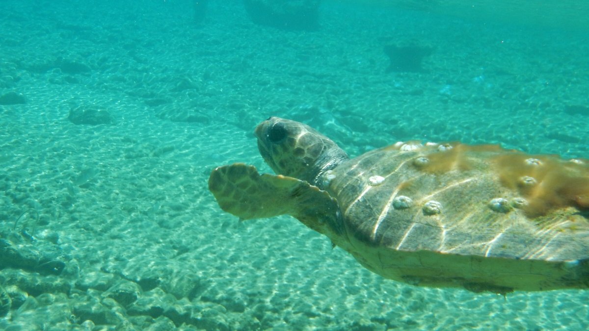 Explore Peloponnese on a cruise