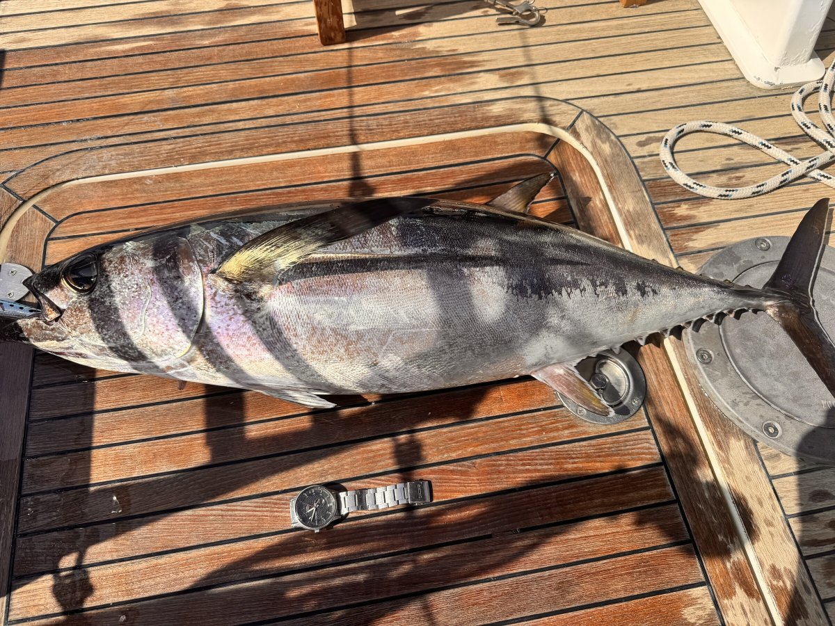 Aventura en velero por el Mediterráneo: Bahía de Gibraltar a Cerdeña