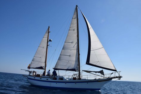 Curso de PER a bordo en Alicante con todas las prácticas incluidas