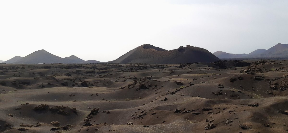 Entdecke die Naturwunder Madeiras