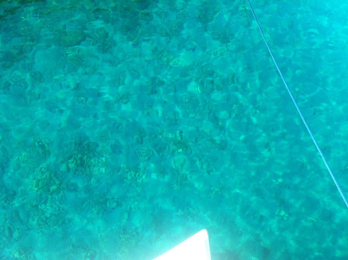 Scopri la bellezza selvaggia della Sardegna in barca.