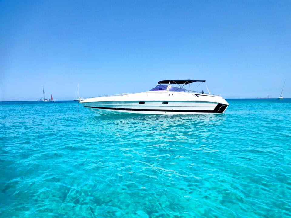 11703189_10207081230288581_5761479521185243791_n