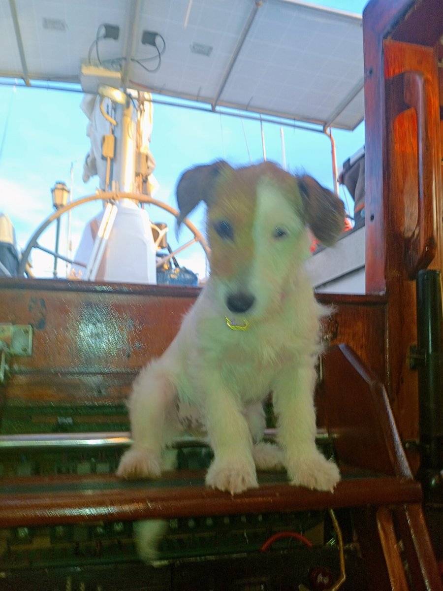 Sail on an oceanic cruise aboard an 18-meter ketch from Tenerife to La Graciosa