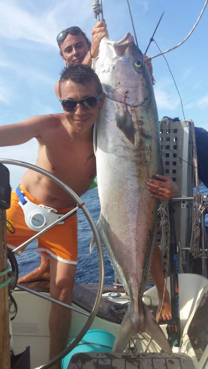 Velero - Bénéteau - 12 metros