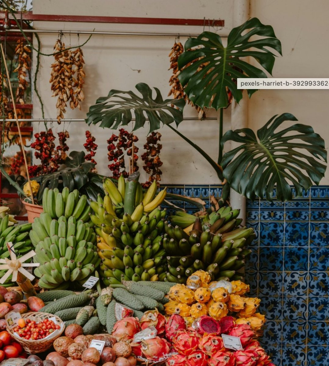 Bildschirmfoto 2025-01-28 um 23.28.54