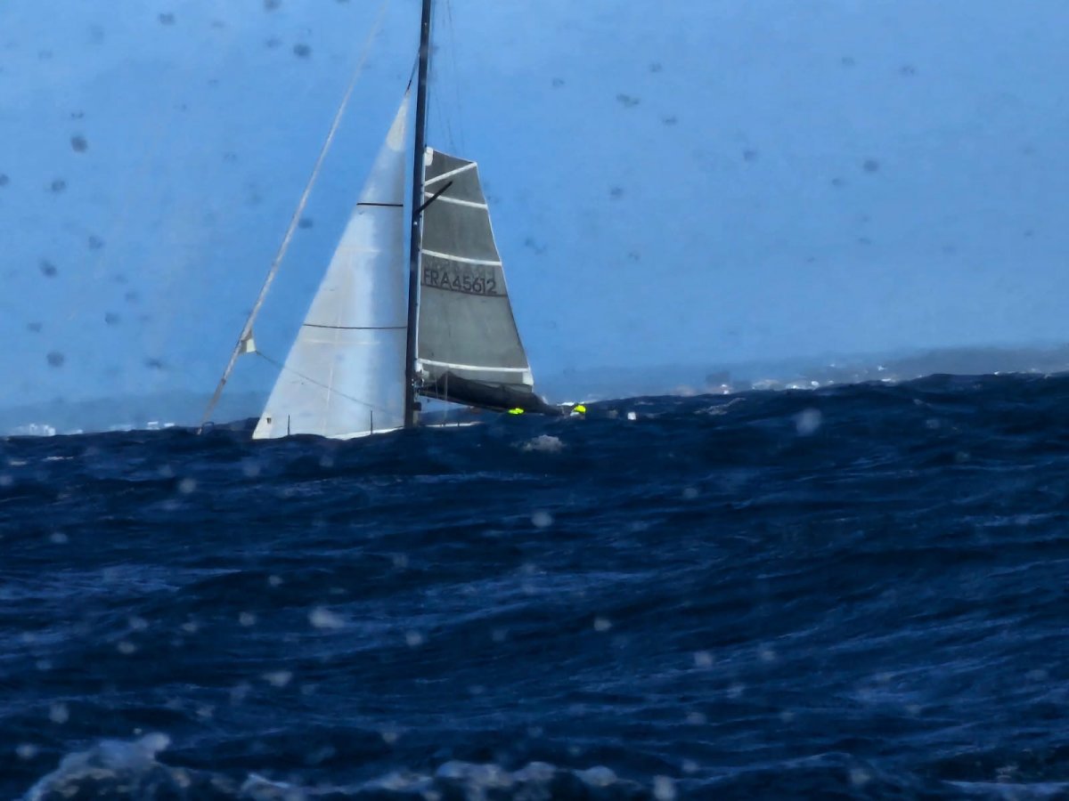 Explore the canals and harbors of the Netherlands on a training cruise