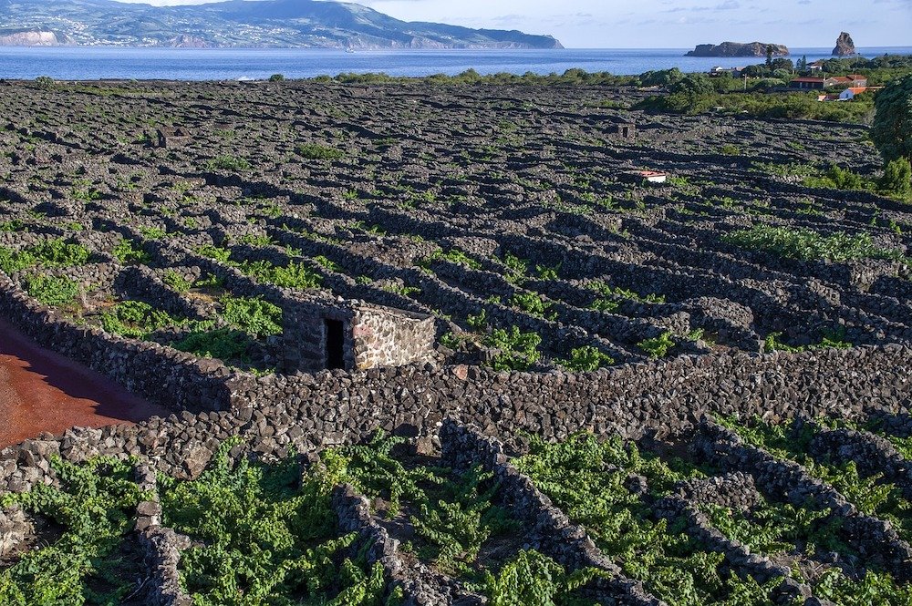 Vela en las Azores: la aventura de tu vida