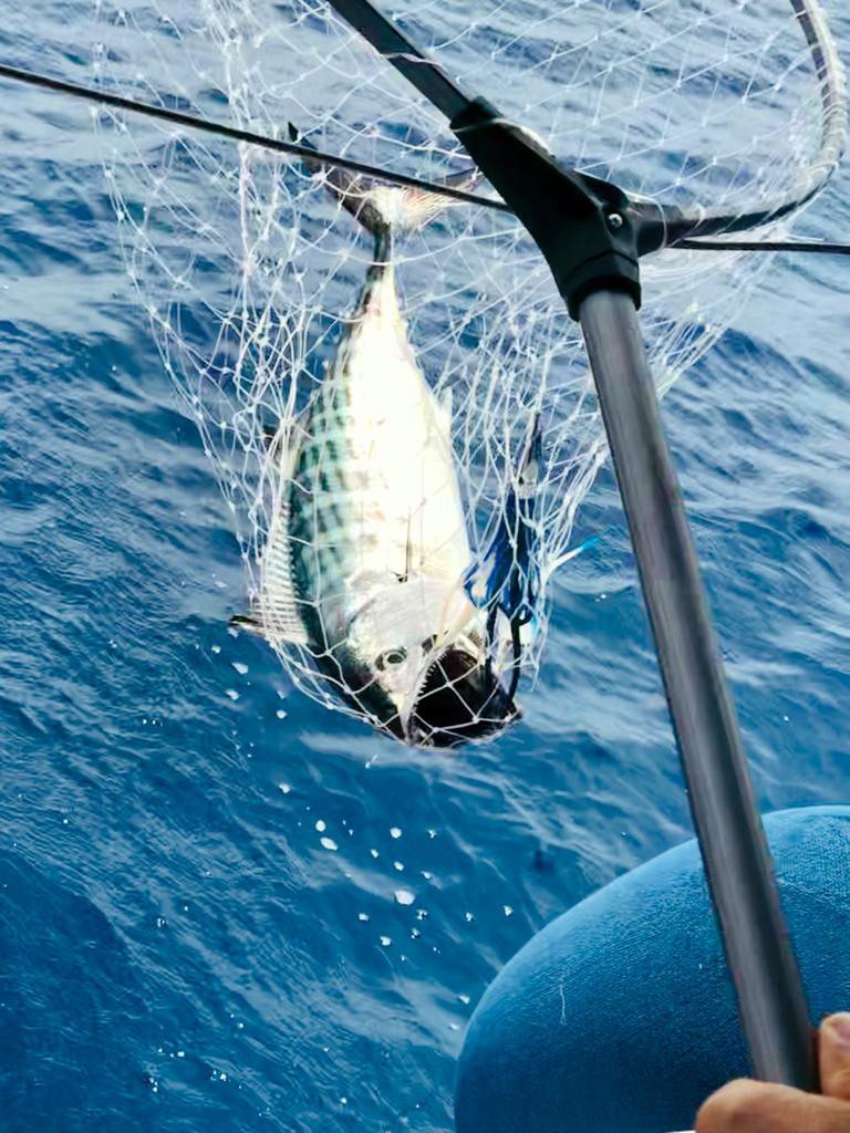 Bénéteau - 2 baths