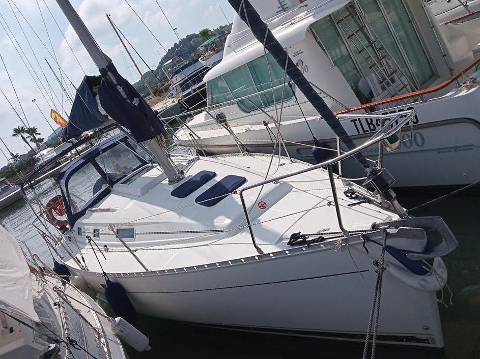 Lerne zu manövrieren und festzumachen im Hafen von Denia