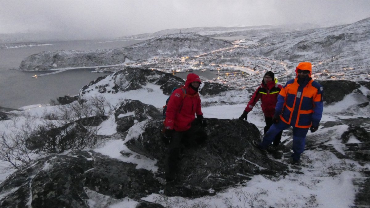 Explora la belleza del Ártico en la víspera de Año Nuevo