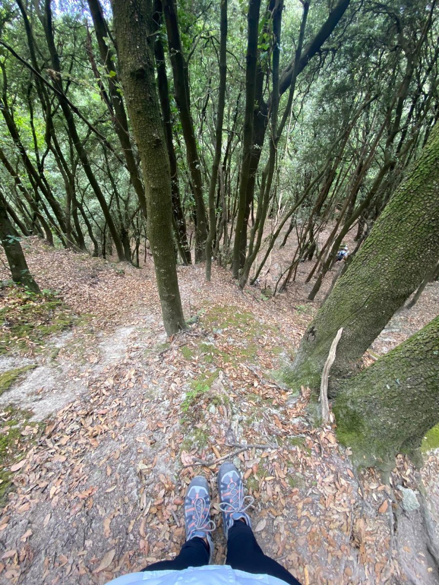 Escursione in barca e vela a Ischia: vela, trekking e panorami spettacolari