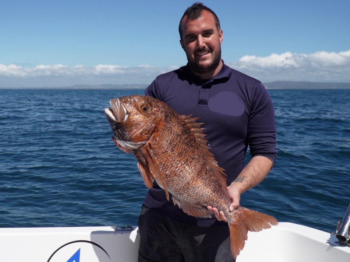 b7e1736d-9d7e-430a-9438-51e9eb48d8c4