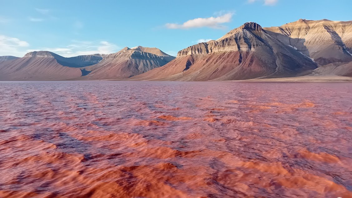 Descubre Svalbard en un safari náutico