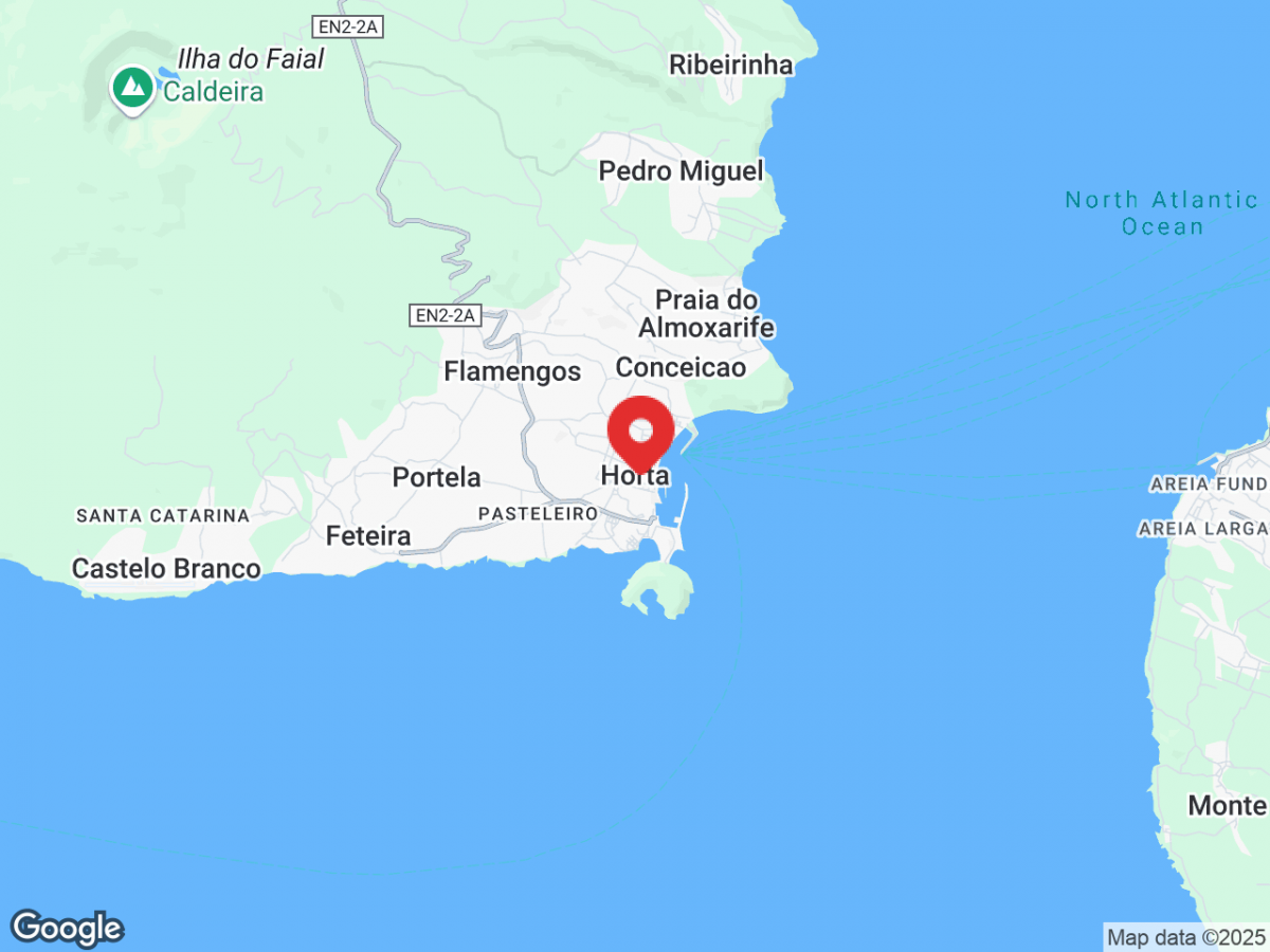 d25cf2eddfa7ab5f2dc65bb623aa29d1