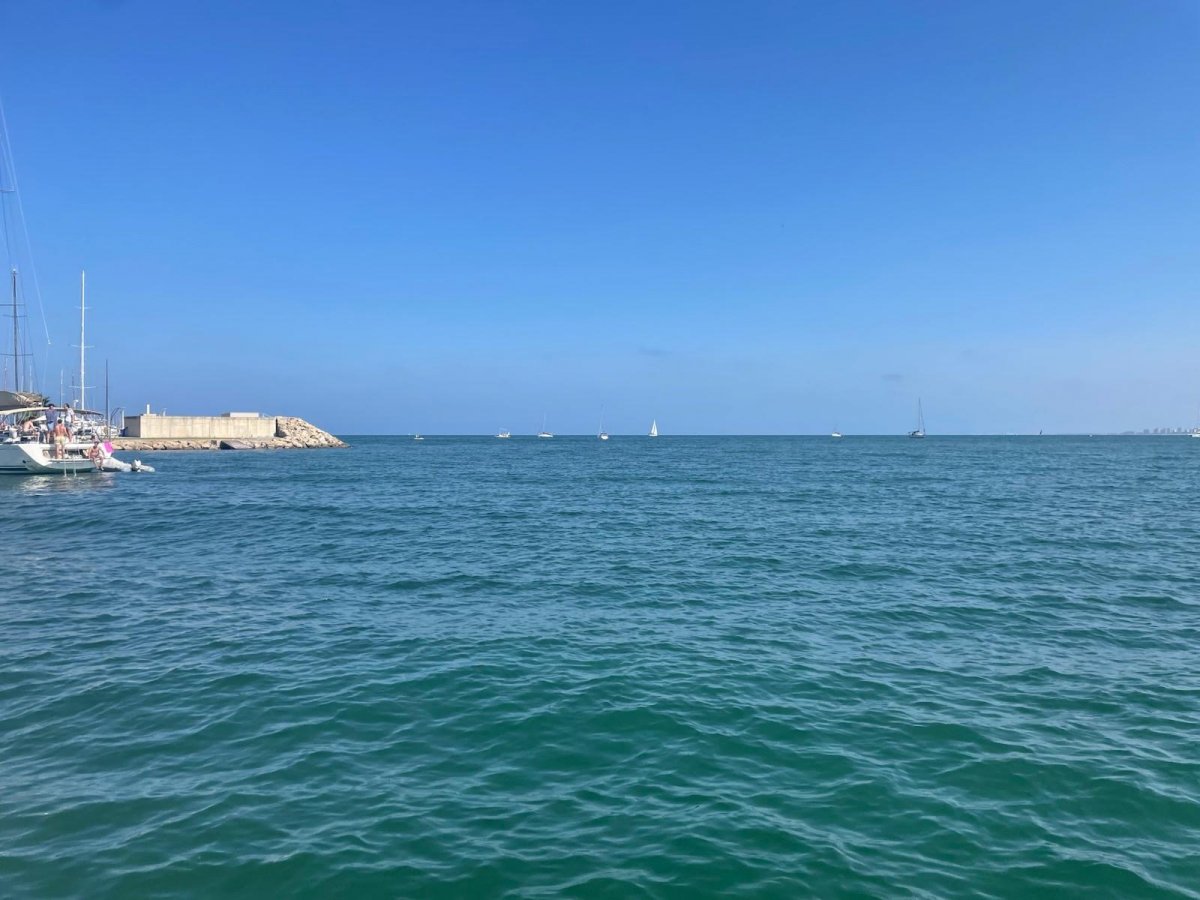 Boat tour of Valencia's harbor