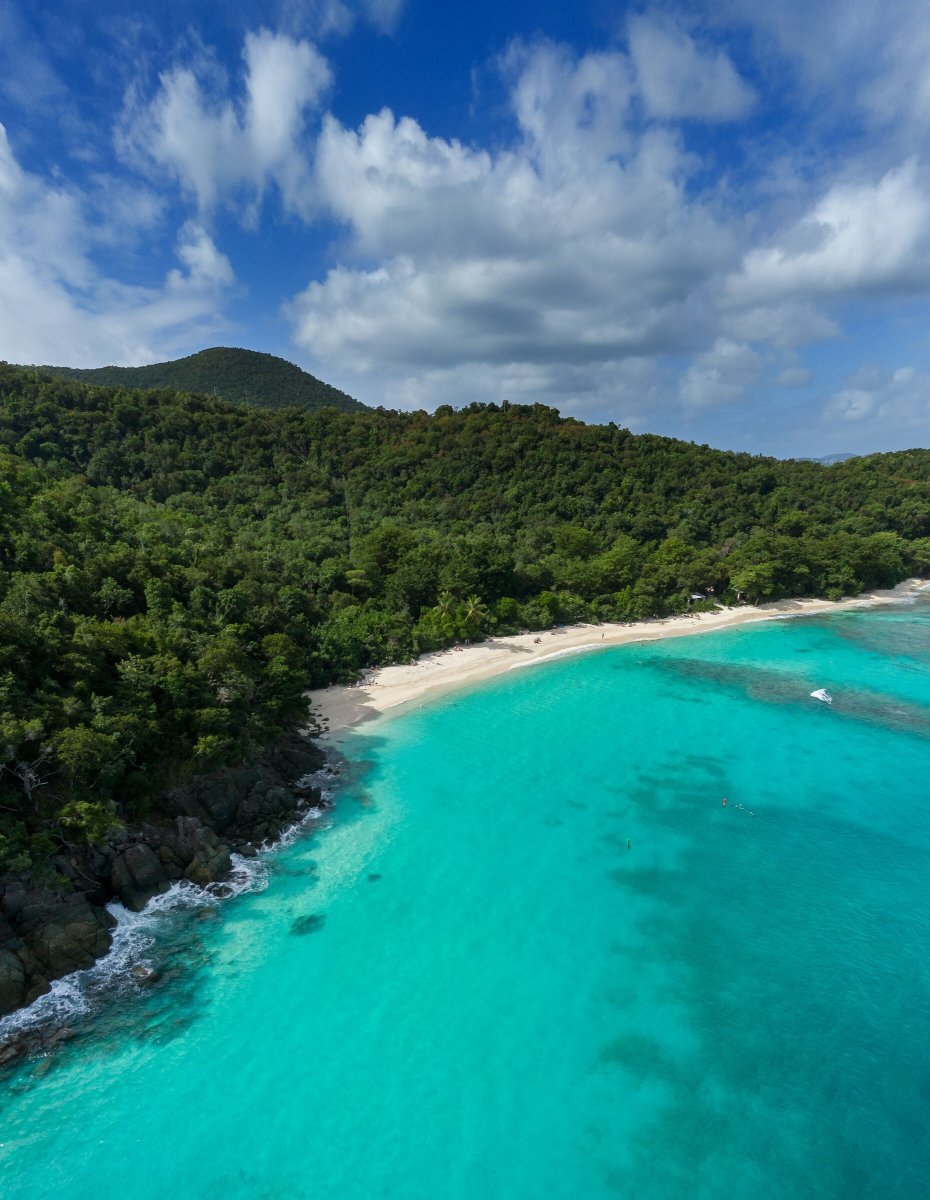 Luxury boats in Antigua
