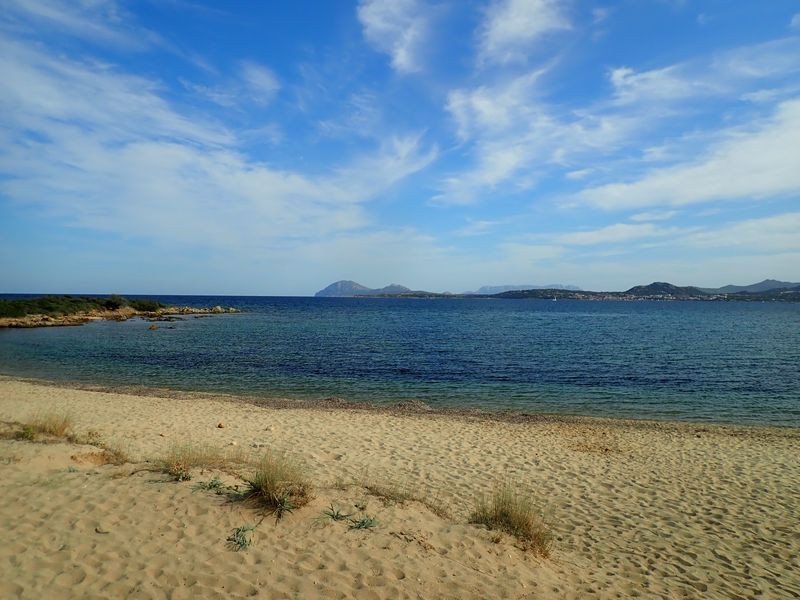 Return home with a new set of sailing skills.