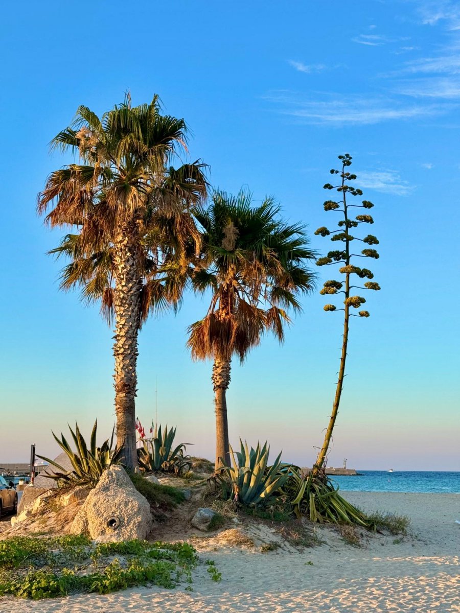 Embark on a Summer Cruise in the Ionian Sea and enjoy its beauty