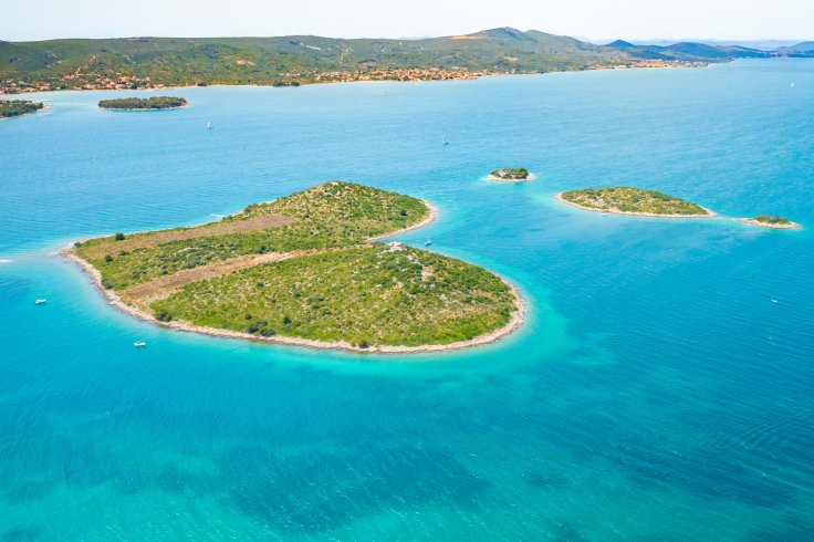 Galesnjak en Dalamatia