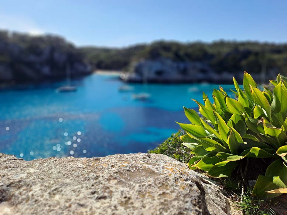 Boat race in the Bay of Pollença