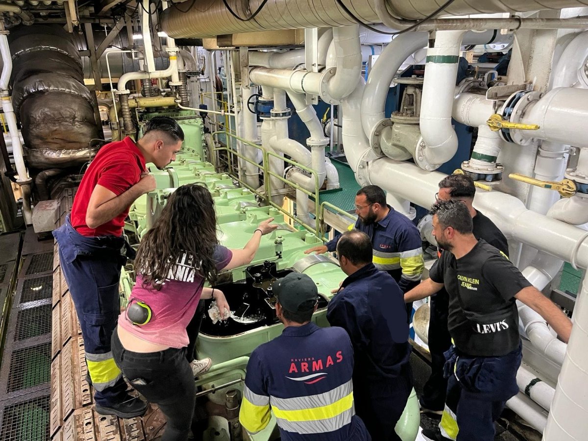 66ba2c3d5a5825.81967521