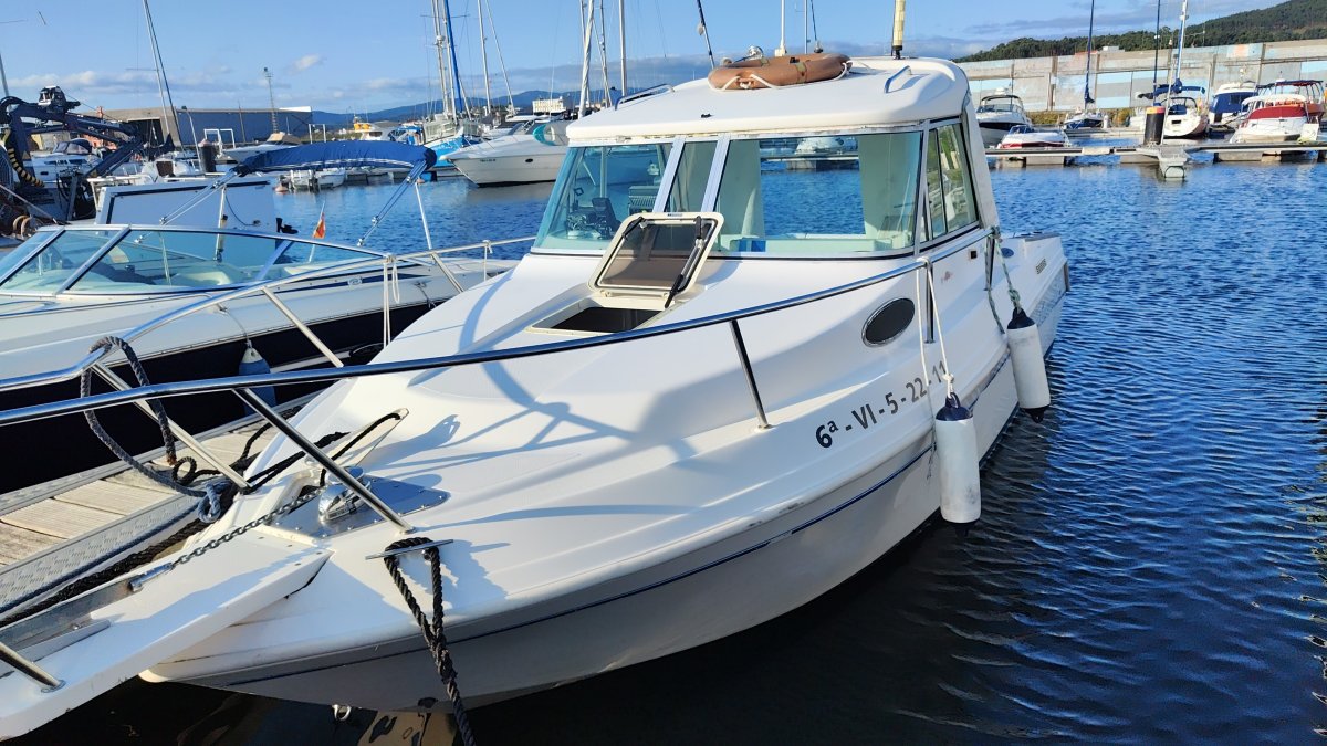 652c35417ea3c0.61788792