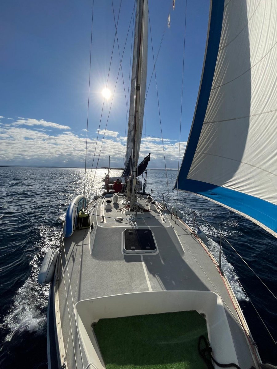 Goditi un viaggio in barca a vela attraverso le calette paradisiache di Mallorca