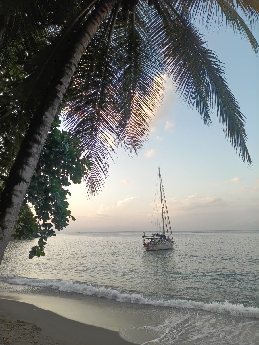 Karibia-Segeltour: Weiße Sandstrände in den Tobago Cays