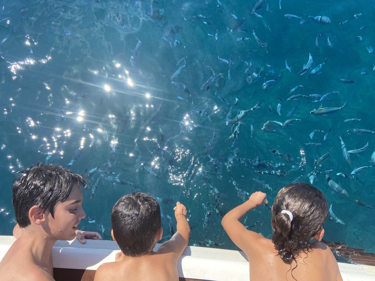 Explore La Manga del Mar Menor on a catamaran