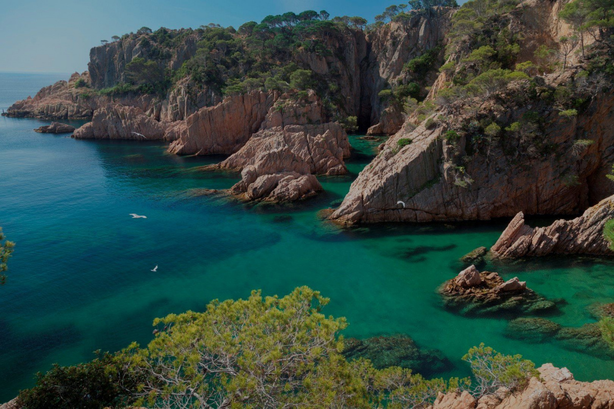 boat trips sant feliu