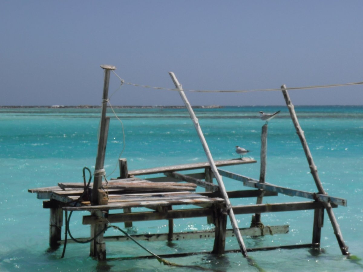 Explora la belleza de Gran Canarias y Cabo Verde