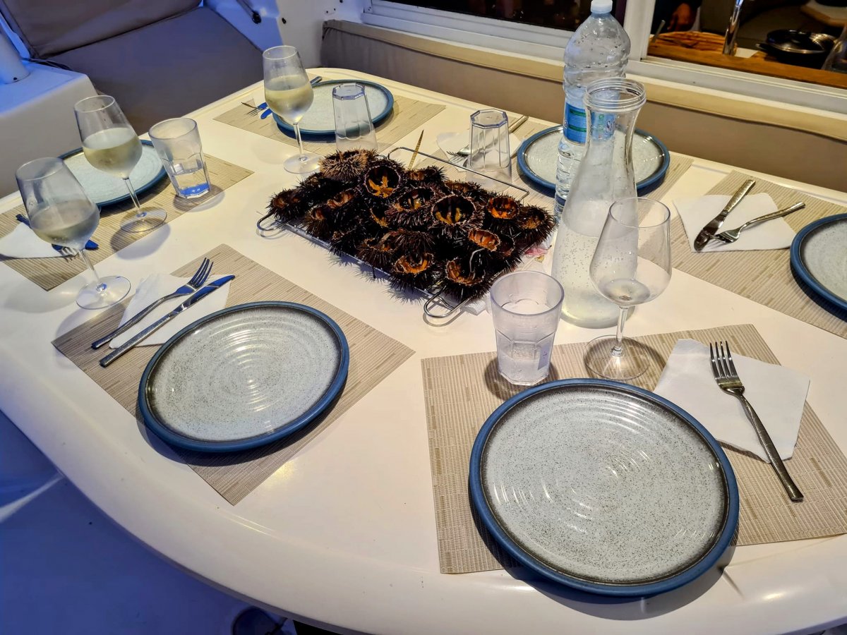 Catamaran - Catana - 47