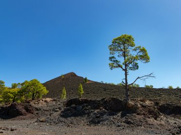 Navigazione tra le isole e Trekking tra i vulcani delle Isole Canarie