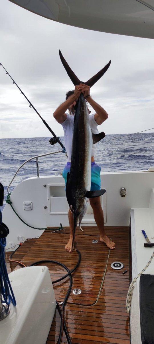 Von den Azoren aus machen wir uns auf den Weg nach Madeira, die Insel der ewigen Frühlinge