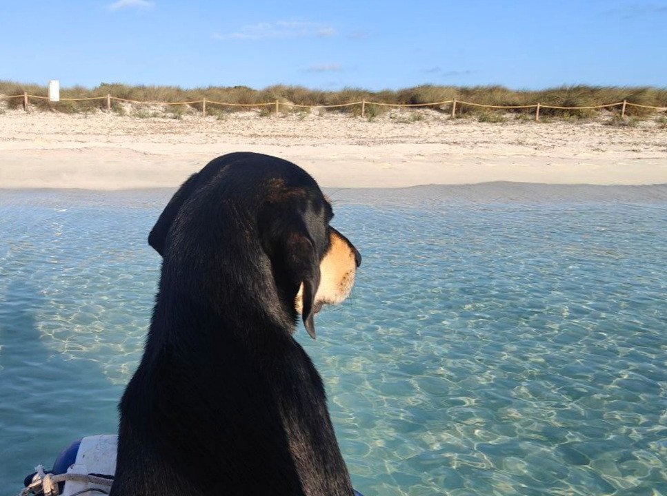 Viaje en barco clásico desde Ibiza a Espalmador y Formentera