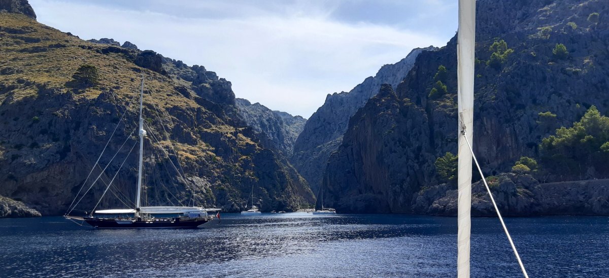 Viaggio di Pasqua - 8 giorni sulla rotta dei delfini!