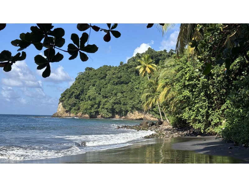 Einweg-Törn von Martinique auf die BVIs