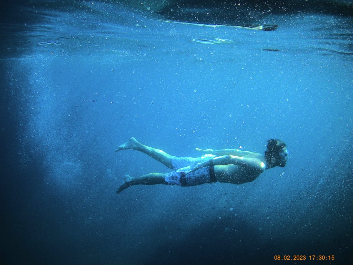 Boat Trip and Sailing in Ischia: Sailing, Trekking, and Stunning Scenery