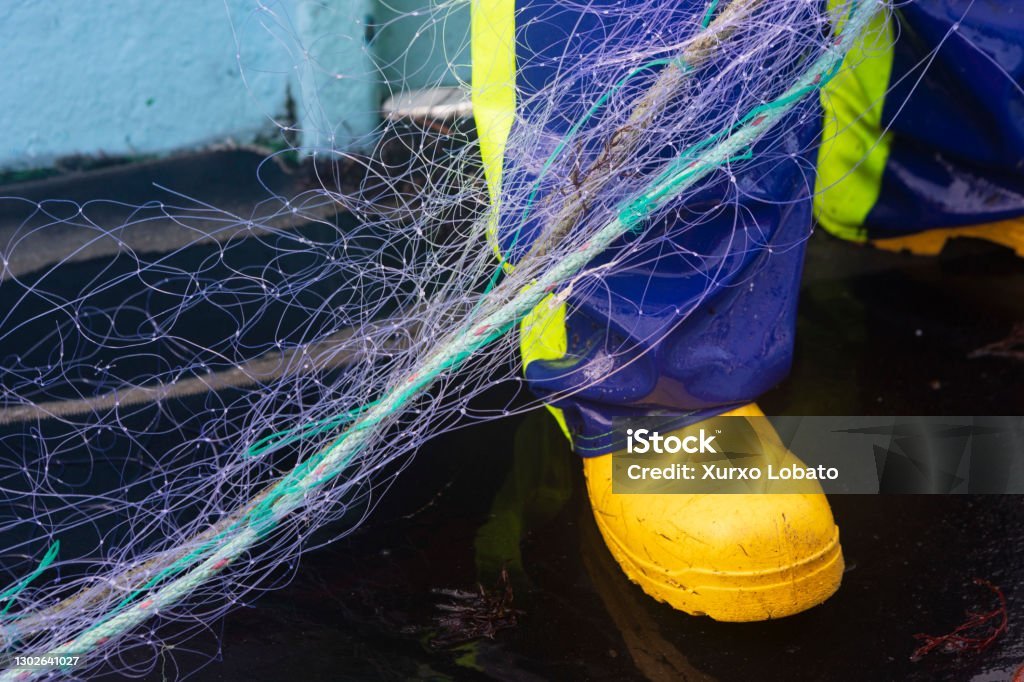 Aprende navegación marina en un barco