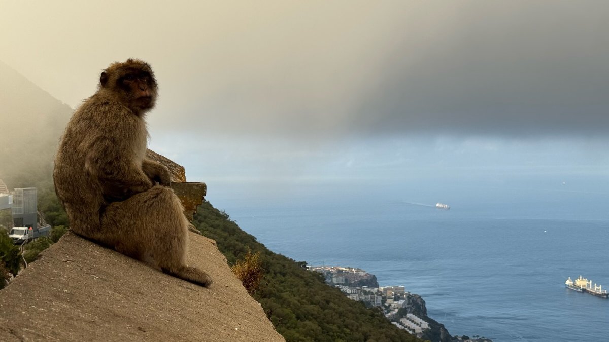 Explore the coastlines and bays along the route