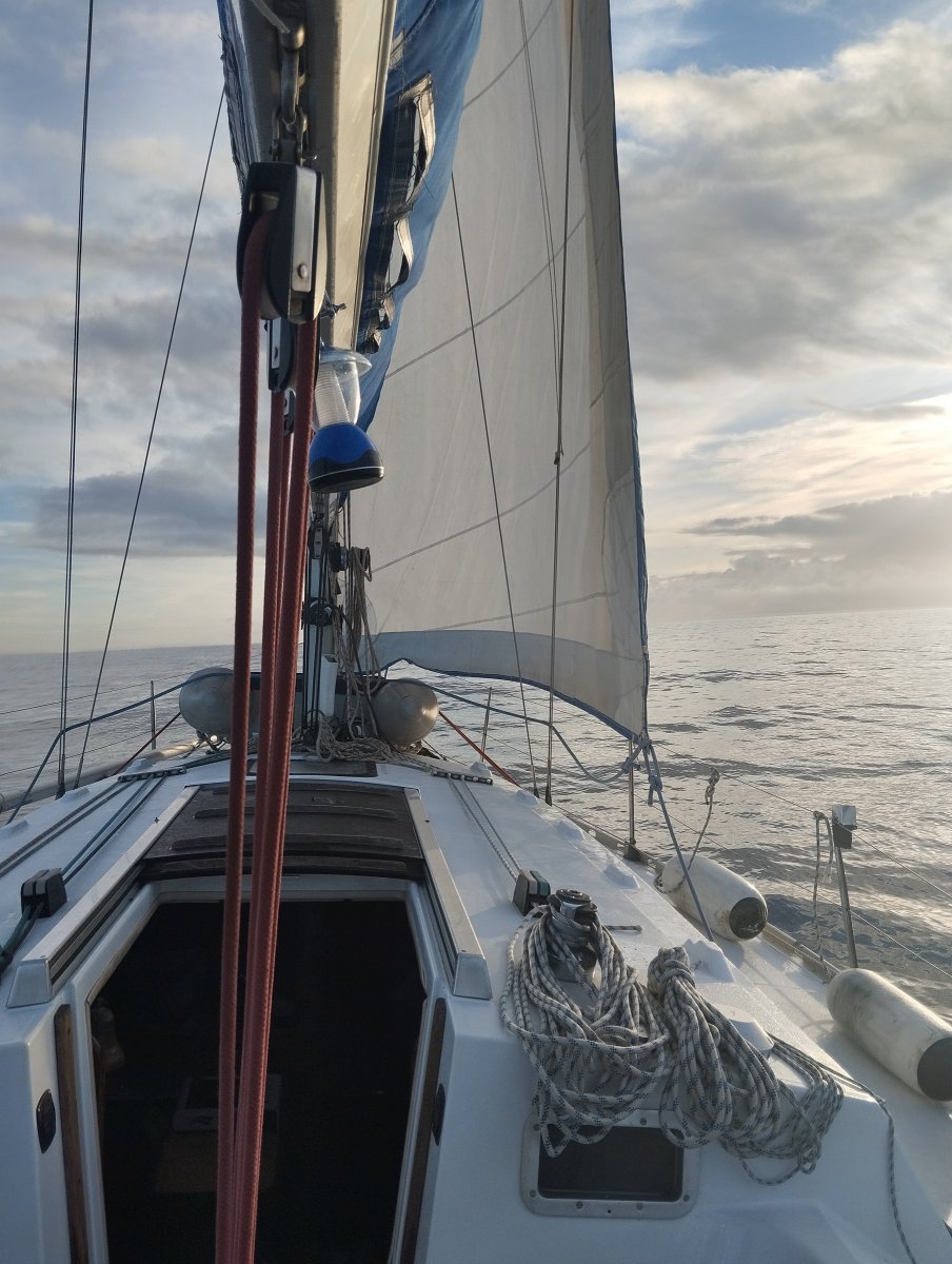 Segelboot - Bénéteau - 2 {{i18n.cabins}}