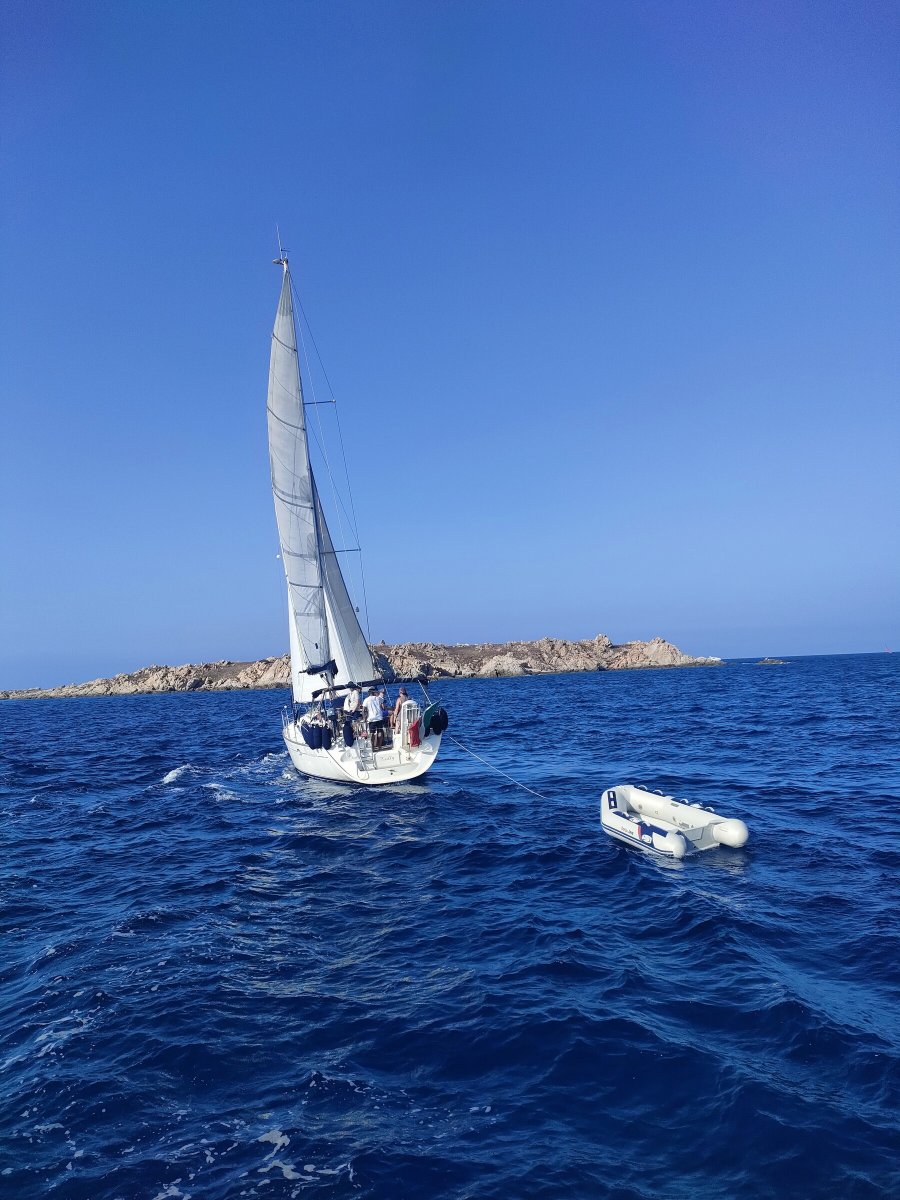Velero - Jeanneau - Sun Odyssey 43 