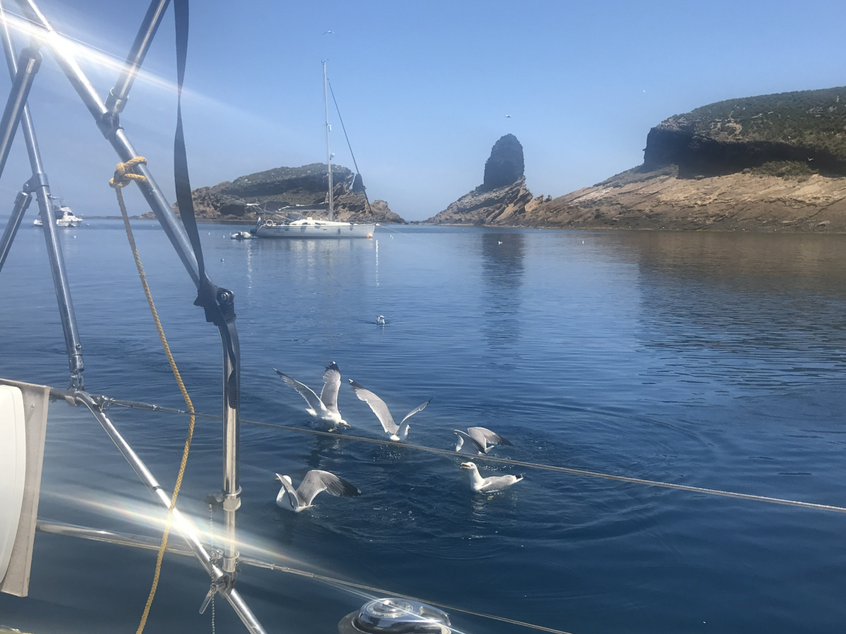 Relájate en un viaje de lujo en barco