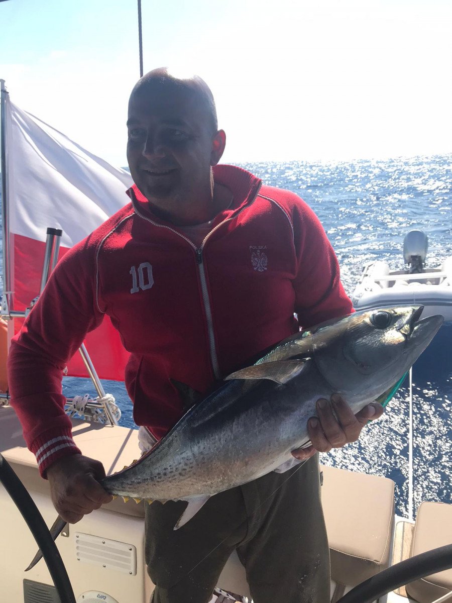 Velero - Bavaria Yachts - 5 cabinas